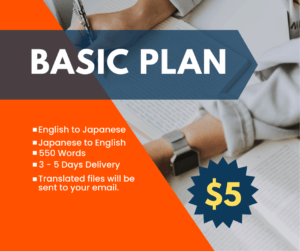Translation Service - Basic Plan